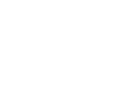 Pista logo